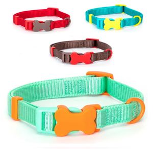 Puppyhalsband met kliksluiting L