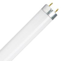 OSRAM TL-lamp Energielabel: G (A - G) G13 36 W Koudwit 840 Buis (Ø x l) 26 mm x 1213.6 mm 1 stuk(s)