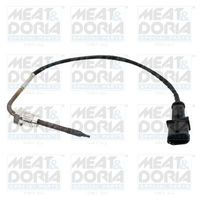 Sensor, uitlaatgastemperatuur 12152