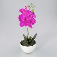 Orchidee in kunststof pot lavendel M - Oosterik Home - thumbnail
