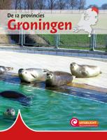 Groningen (Hardback)