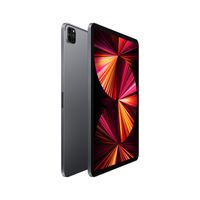 Apple iPad Pro 256 GB 27,9 cm (11") Apple M 8 GB Wi-Fi 6 (802.11ax) iPadOS 14 Grijs - thumbnail