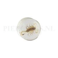 Plug schorpioen 18 mm 18 mm
