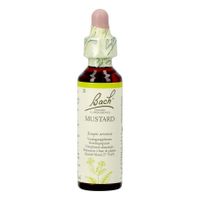 Bach Flower Remedie 21 Mustard 20ml - thumbnail