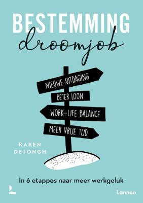 Bestemming droomjob (Paperback)