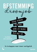 Bestemming droomjob (Paperback)