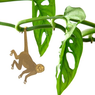 Plant Animal - Aap