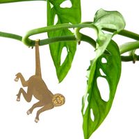 Plant Animal - Aap Plant Animal - Aap