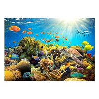 Fotobehang - Underwater Land 350x245cm - Vliesbehang - thumbnail