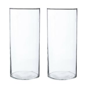 2x Bloemenvaas cilinder vorm van transparant glas 30 x 13 cm