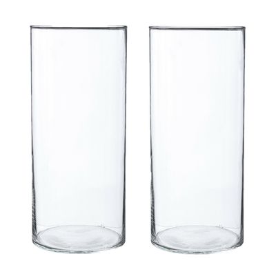 2x Bloemenvaas cilinder vorm van transparant glas 30 x 13 cm