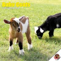 Baby Geitjes Kalender 2026