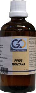 GO Pinus montana (100 ml)