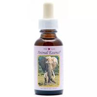 Animal Essences Elephant (olifant) 30 Milliliter