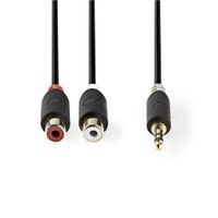 Nedis CABW22250AT02 Stereo Audiokabel 3,5 Mm Male - 2x Rca Female 0,2 M Antraciet