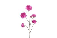 Decostar zijdebloem Beau Dahlia pinnata 98 cm paars