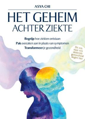 Het geheim achter ziekte (Paperback)