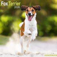 Fox Terrier Kalender 2026