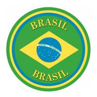Viltjes met Braziliaanse vlag opdruk