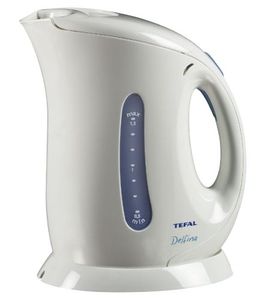 tefal delfina kettle