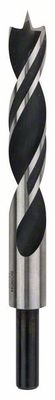 Bosch Accessoires Houtspiraalboren Standard 16 x 100 x 160 mm, d 10 mm 1st - 2608596313