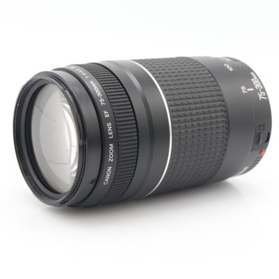 Canon EF 75-300mm F/4-5.6 III occasion