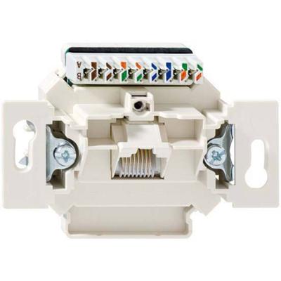 Rutenbeck UAE-Cat.6Aiso8UUp0mK Netwerkdoos Inbouw (in muur) Inzet CAT 6A