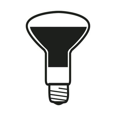 Flos Lichtbron LED E27 12W 220-240V 27K R125