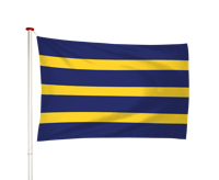 Vlag Vreeswijk