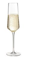 LEONARDO Puccini 6 stuk(s) 280 ml Glas Champagneflûte - thumbnail