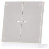 LS 995 KO5  - Cover plate for switch/push button LS 995 KO5 - thumbnail