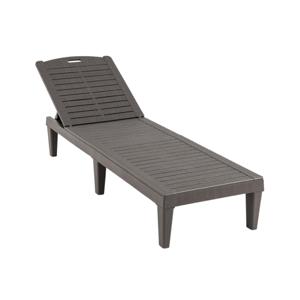Set van 2 Ligstoelen met Verstelbare Rugleuning Kunststof Weerbestendig Tuinbed Bruin