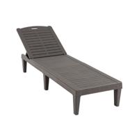 Set van 2 Ligstoelen met Verstelbare Rugleuning Kunststof Weerbestendig Tuinbed Bruin