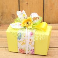 Bonbon doosjes - Chocolade doosje - Pastel Geel Laag Comlpeet Goedemorgen - 24 stuks