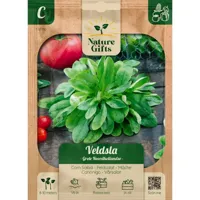 Veldsla hollandse breedblad per 9m