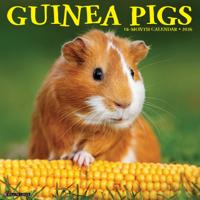 Cavia Kalender 2026
