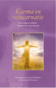 Karma en reïncarnatie (Paperback)