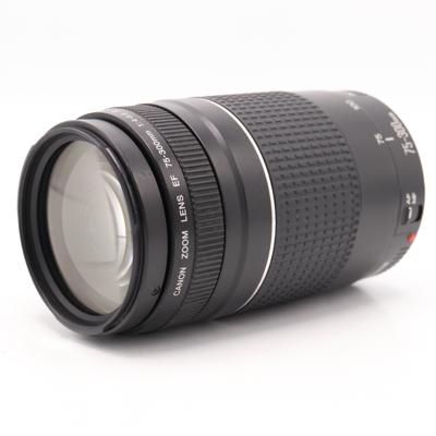 Canon EF 75-300mm F/4-5.6 III occasion