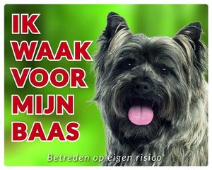 Cairn Terrier Waakbord - Ik waak voor mijn baas Grijs