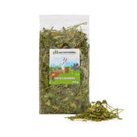 FACTORY HERBS Alfalfa herb - snack voor knaagdieren en konijnen - 150g