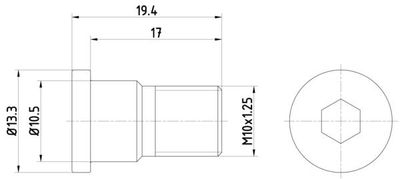 Schroef, remschijf TPM0007