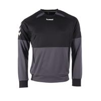 hummel Authentic Trainingstrui Kids Grijs Zwart