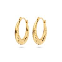 Elegante 14k Geelgouden Oorringen - Afmetingen 21.5x4.5mm