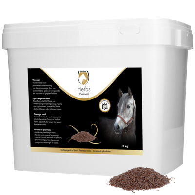 Excellent Herbs Vlozaad (Psylliumzaad)
