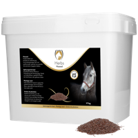 Excellent Herbs Vlozaad (Psylliumzaad)