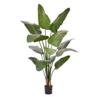 Strelitzia Nicolai deluxe Kunstpalm 170cm in pot