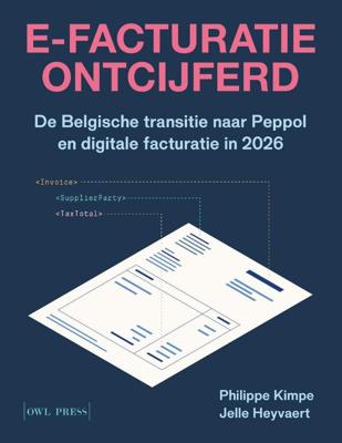 E-facturatie ontcijferd (Paperback)