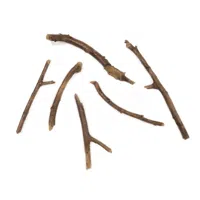 Decoratie hout hars - 6 stuks
- Xaralyn 
- Kleur:  
- Afmeting: 16 - 26 cm cm x  x - thumbnail