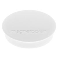 Magnetoplan Magneet Discofix Standard (Ø x h) 30 mm x 8 mm Rond Wit 10 stuk(s) 1664200