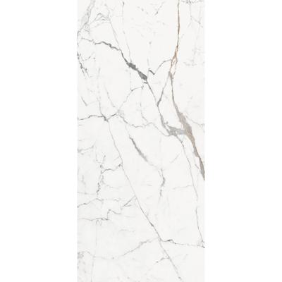 Douglas & Jones Vloertegel 120x280 cm Magnum Glans Or - Vloertegel 120x280 cm Magnum Glans Or (prijs Per Tegel)